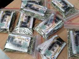 Akcja Charytatywna ZSE