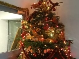 Akcja Charytatywna ZSE