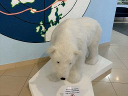Muzeum Badań Polarnych 2026